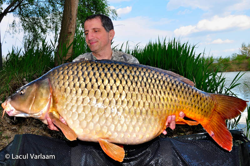 Victor Costache - 21kg, stand A7.jpg