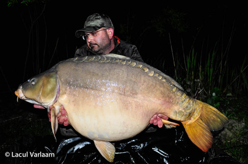 Valentin Vinulescu - 21,9kg, stand B14.jpg