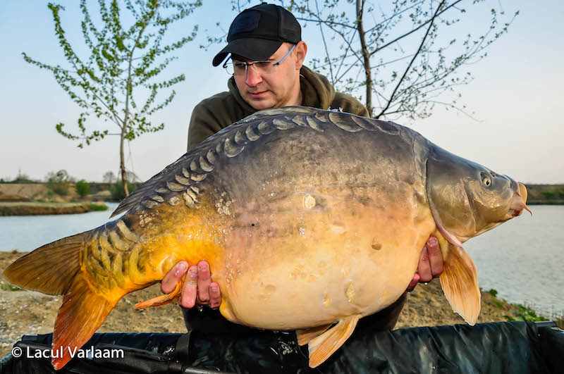 Alex Vaetis - 20,2kg, stand B13.jpg