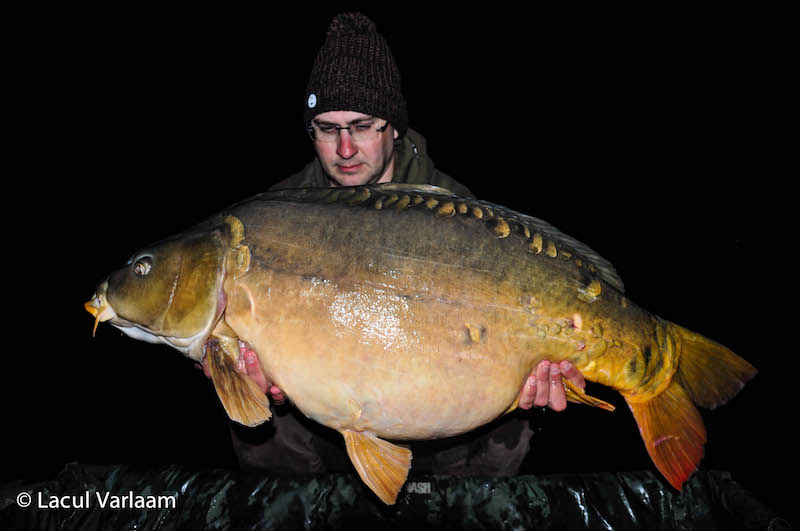 Alex Vaetis - 20,9kg, stand B13.jpg