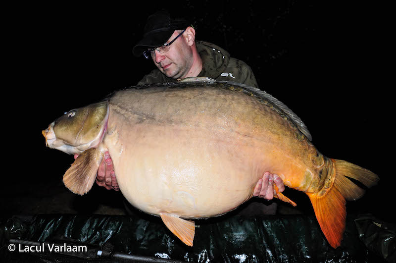 Alex Vaetis - 22,5kg, stand B13.jpg