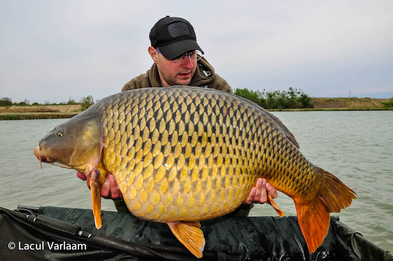 Alex Vaetis - 22kg, stand B13.jpg