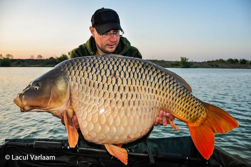 Alex Vaetis - 23,8kg, stand B13.jpg