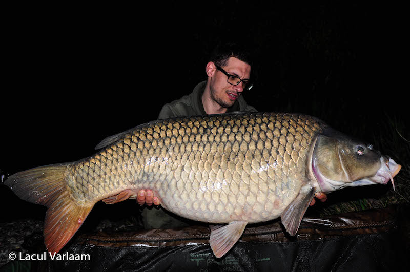 Mircea Faur - 21kg, stand A4.jpg