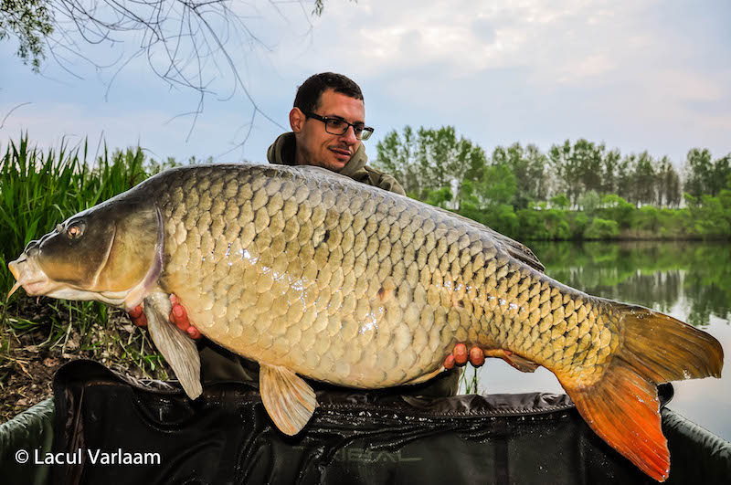 Mircea Faur - 25,2kg, stand A4.jpg