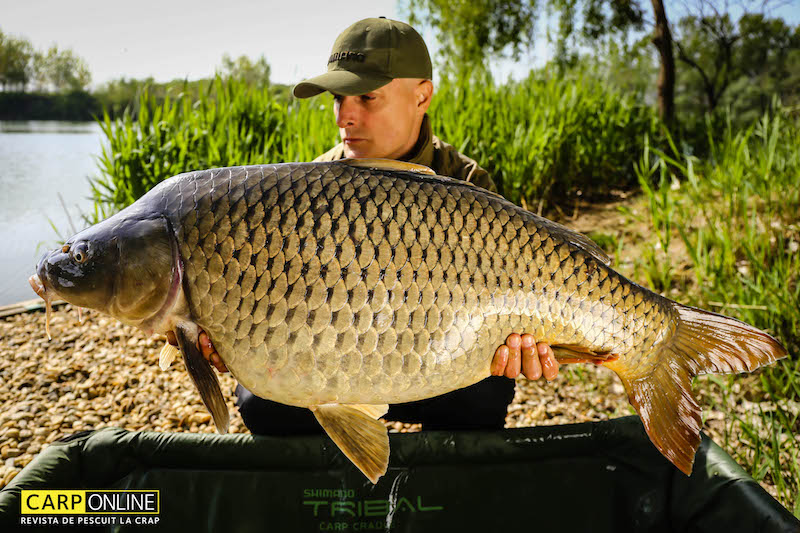 Vlad Pavlovici - 20kg, stand A7.jpg