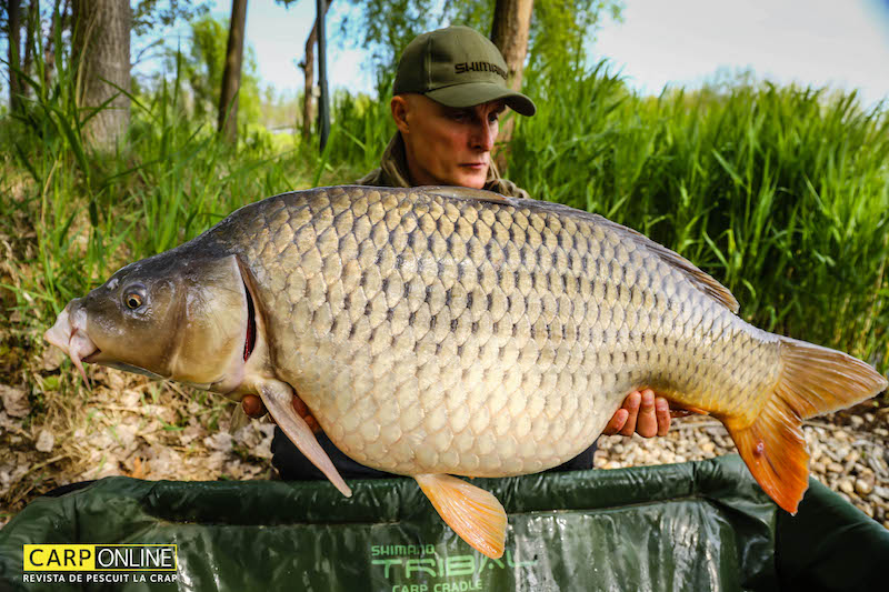 Vlad Pavlovici - 20,2kg, stand A7.jpg