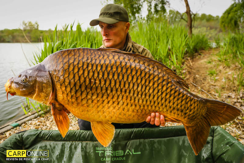 Vlad Pavlovici - 22kg, stand A7.jpg