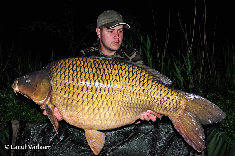 Iulian Petre - 22kg, stand B14.jpg