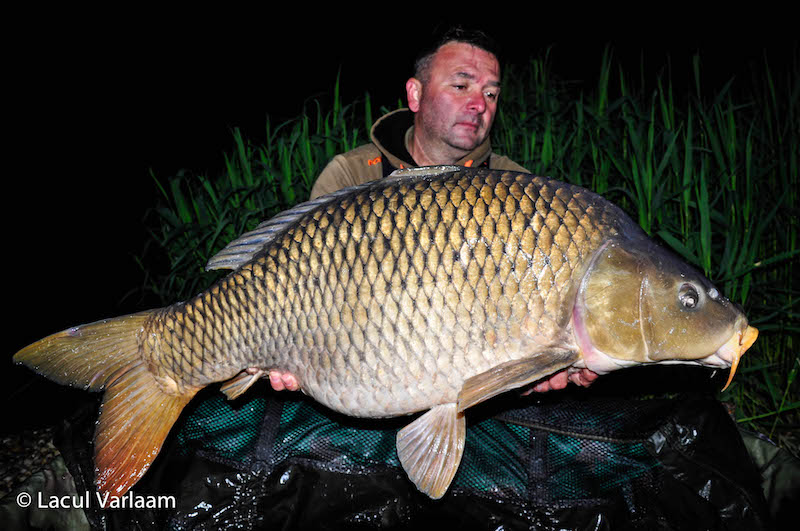 Nicolae Iepure - 21,4kg, stand A9.jpg