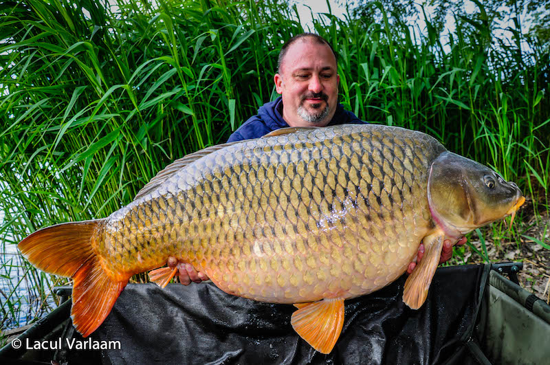 Stefan Dumitru - 28,6kg, stand A6.jpg