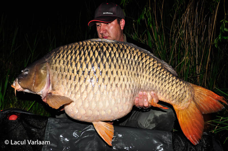 Andrei Negru - 21,9kg, stand B2.jpg