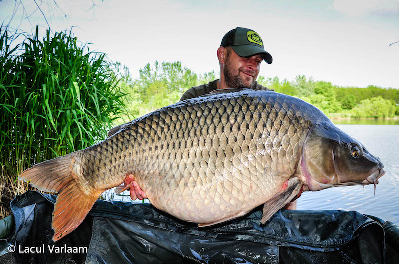 Mihai Prodan - 26,5kg, stand A2.jpg