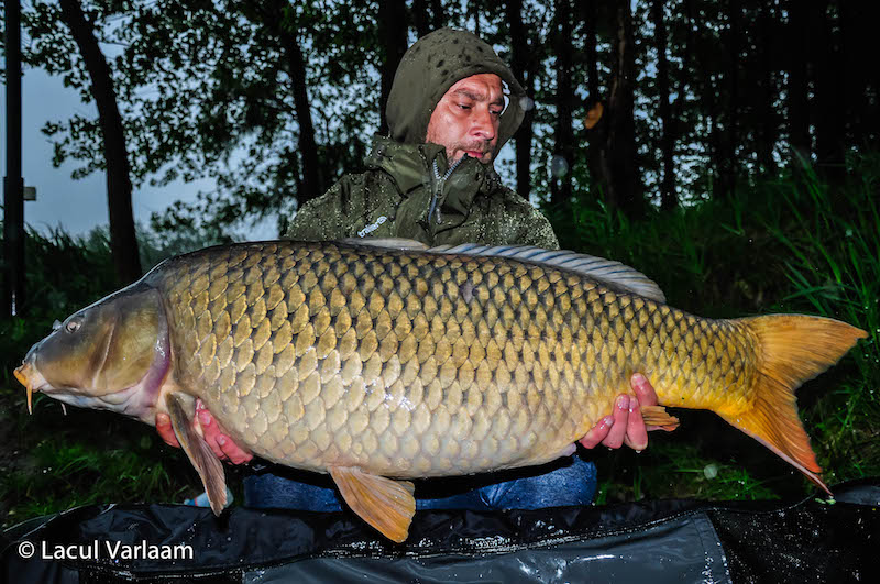 Mihai Prodan - 20kg, stand A2.jpg