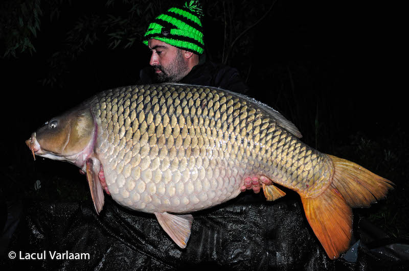 Marius Iosif - 22,1kg, stand B14.jpg