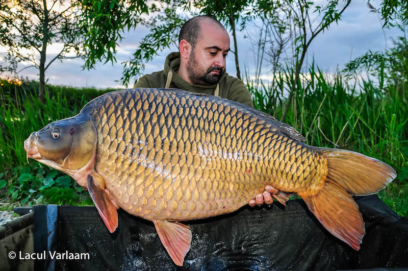 Marius Iosif - 21kg, stand B14.jpg