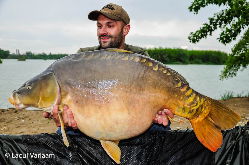 Adrian Baciu - 21,4kg, stand B13.jpg