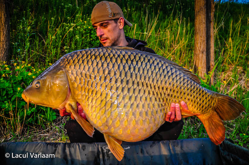 Ciprian Blanaru - 19,6kg, stand B8.jpg