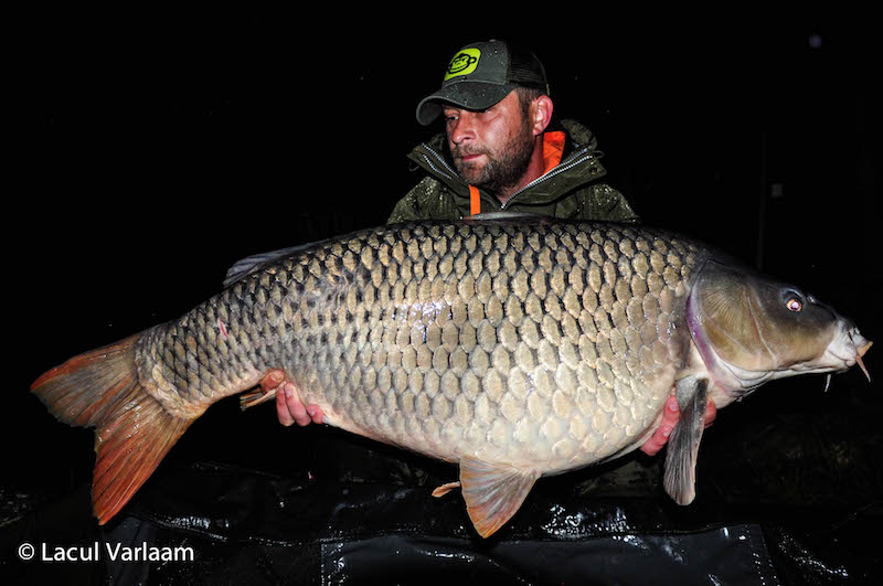 Mihai Prodan - 20kg, stand A2.jpg