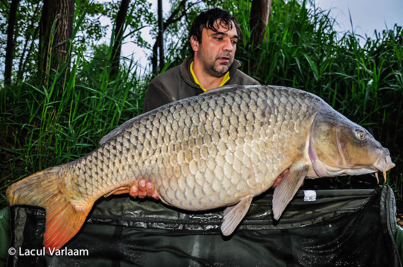 Costel Preotescu - 26,1kg, stand A7.jpg