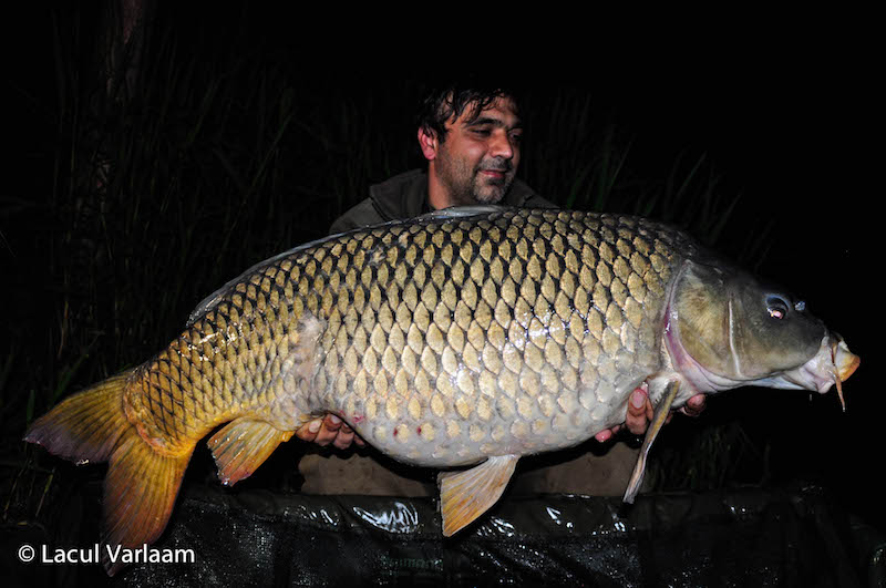 Costel Preotescu - 21kg, stand A7.jpg