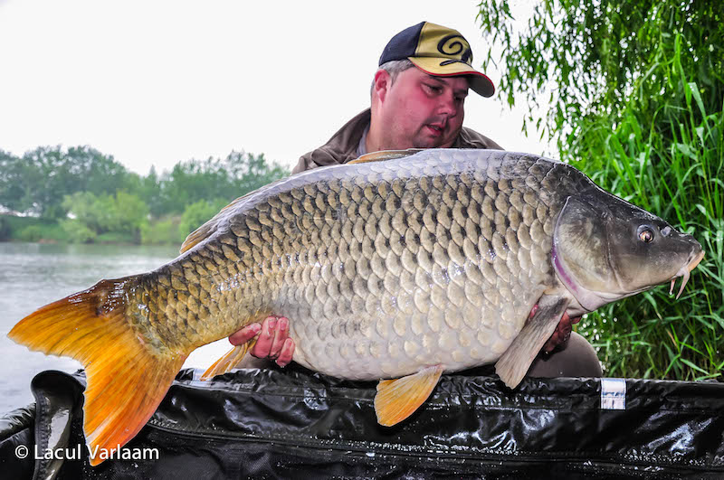 Andrei Roman - 21,6kg, stand A4.jpg