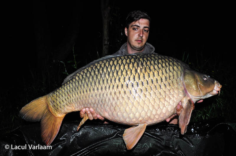 Cristian Mitroi - 20,2kg, stand B8.jpg