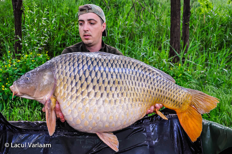 Cristian Mitroi - 21,9kg, stand B8.jpg