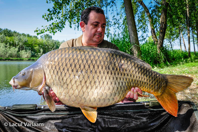 Mircea Coman - 21,2kg, stand A7.jpg