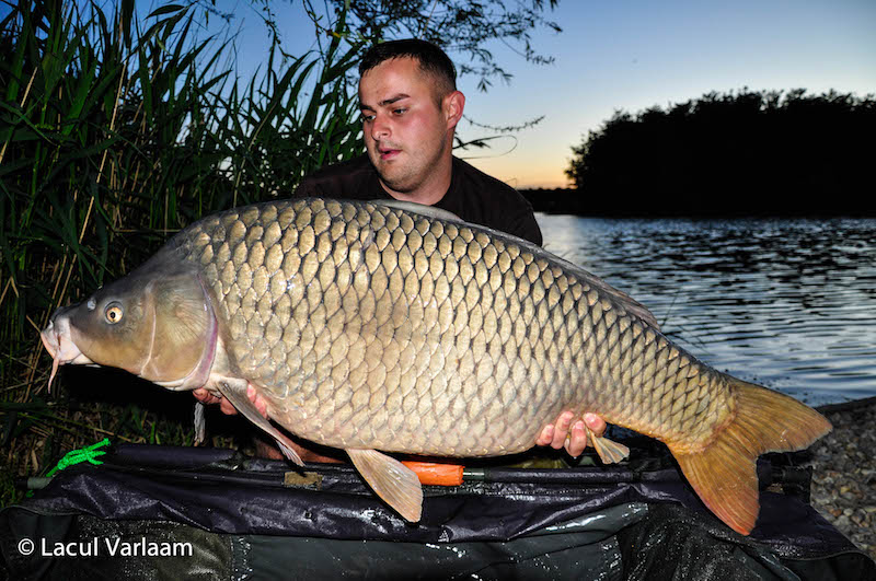 Dan Usurelu - 19,8kg, stand B2.jpg