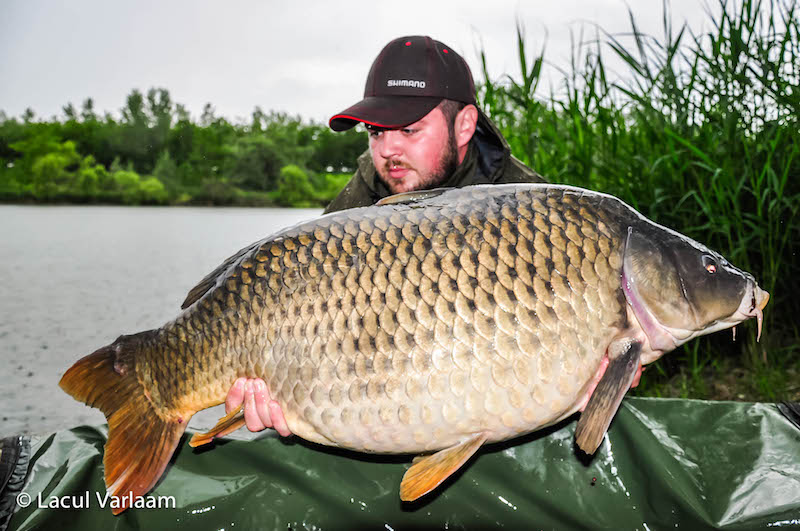 Silviu Vlad - 21,2kg, stand A2.jpg