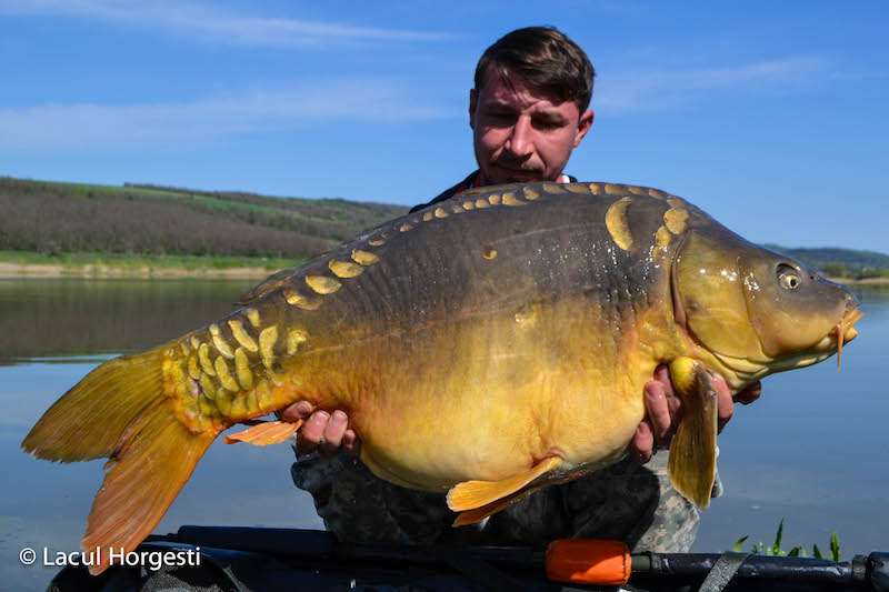 Adrian Olteanu - 15kg.jpg