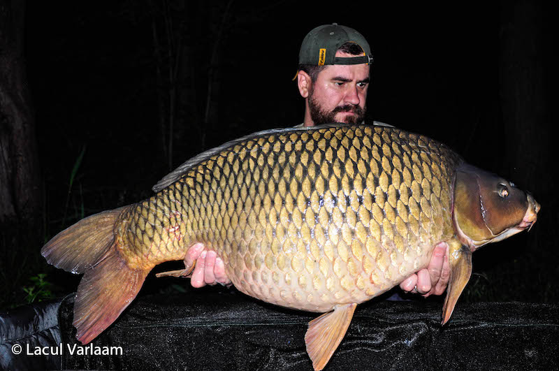 Cristian Stoia - 22,5kg, stand B7.jpg