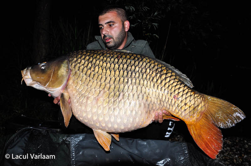 Alexandru Voica - 25,2kg, stand B2.jpg