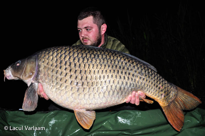 Silviu Vlad - 20,1kg, stand A2.jpg