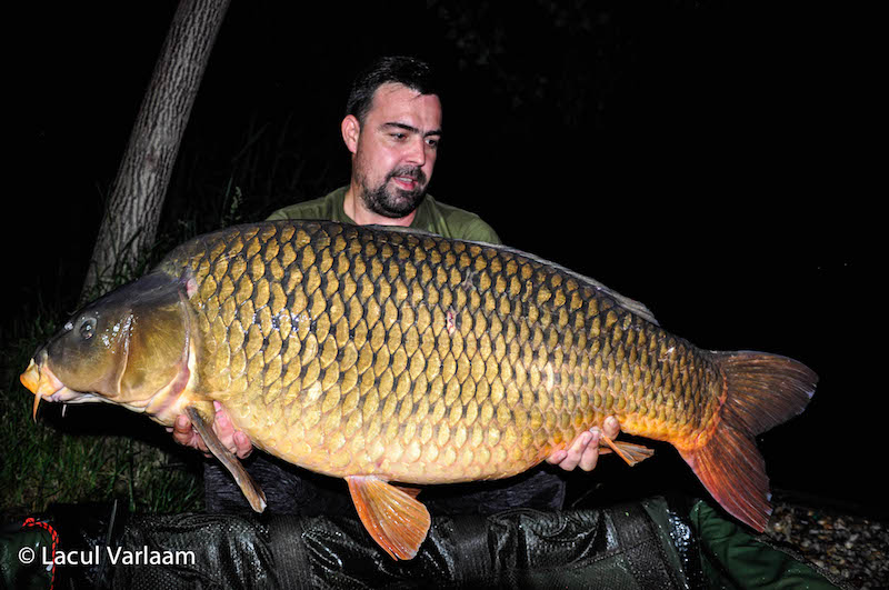 Dimitar Zubev - 24,4kg, stand A2.jpg