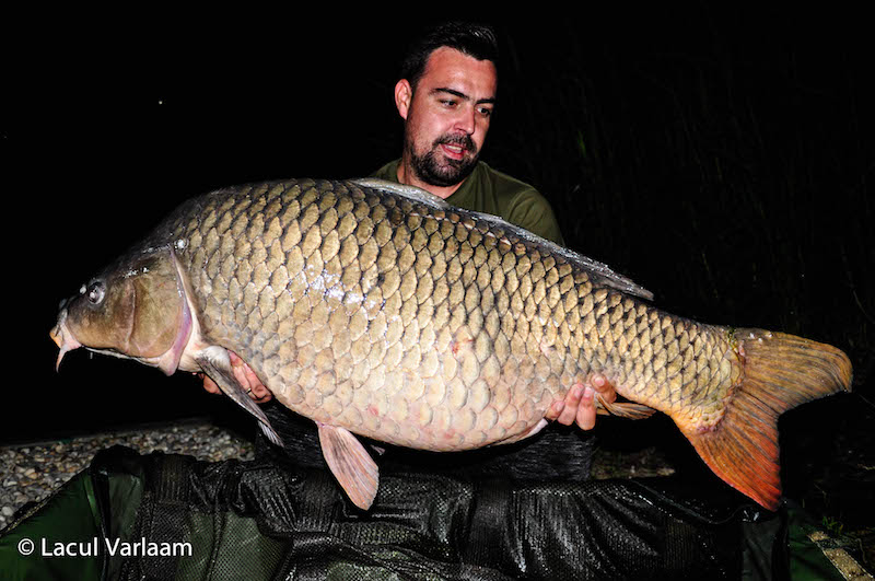 Dimitar Zubev - 25,4kg, stand A2.jpg