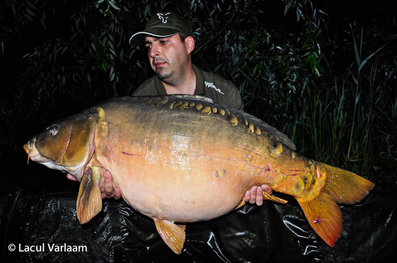 Mihnea Stanculescu - 21,8kg, stand B14.jpg