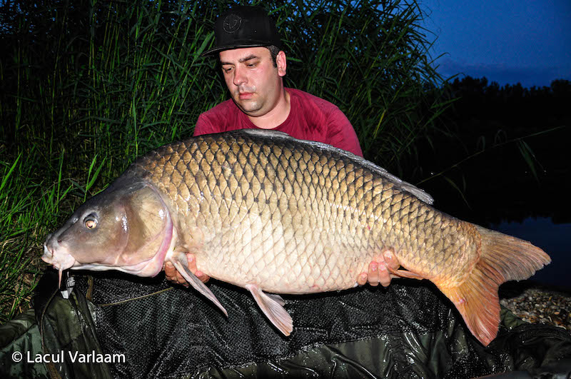 Adrian Popovici - 22,5kg, stand A4.jpg