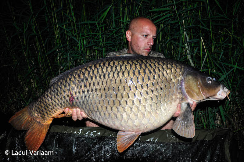 Cristian Gheorghe - 19,5kg, stand A9.jpg