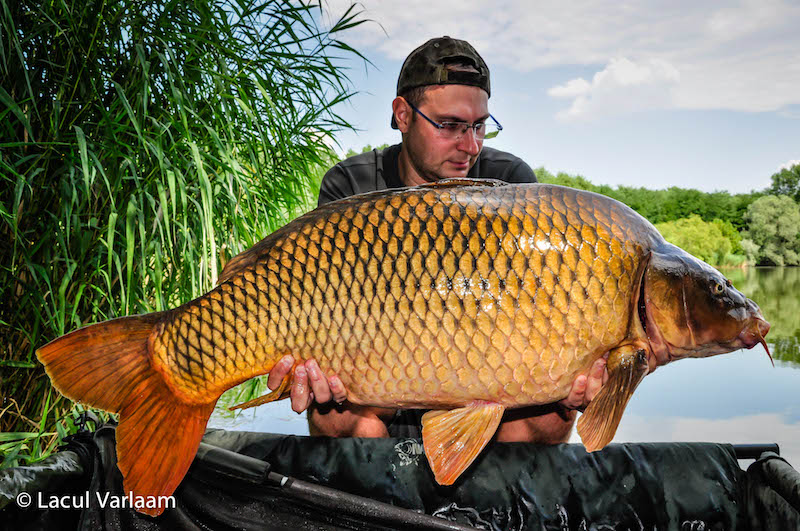 Alex Vaetis - 20,4kg, stand A4.jpg