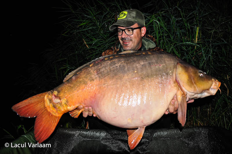 Pierre Estrade - 22,6kg, stand B4.jpg