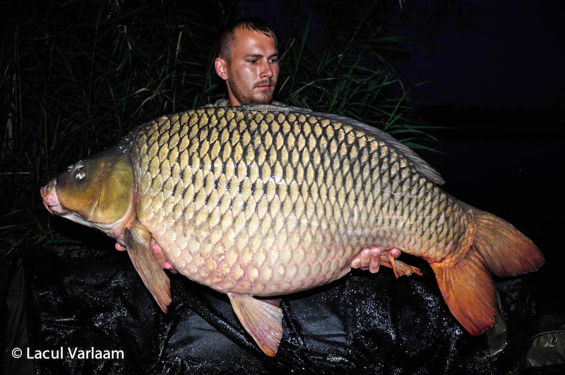 Lucas Cristian - 20kg, stand B2.jpg