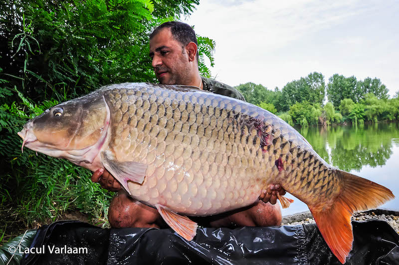 Adrian Raduca - 29,4kg, stand A6.jpg