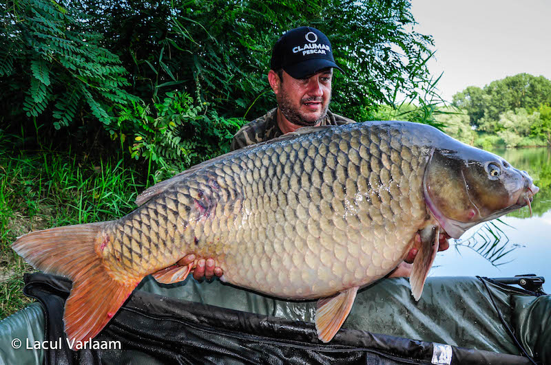 Iulian Ciufu - 29,5kg, stand A6.jpg