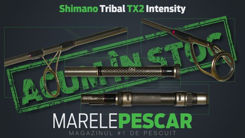 SHIMANO TRIBAL TX2 INTENSITY.jpg