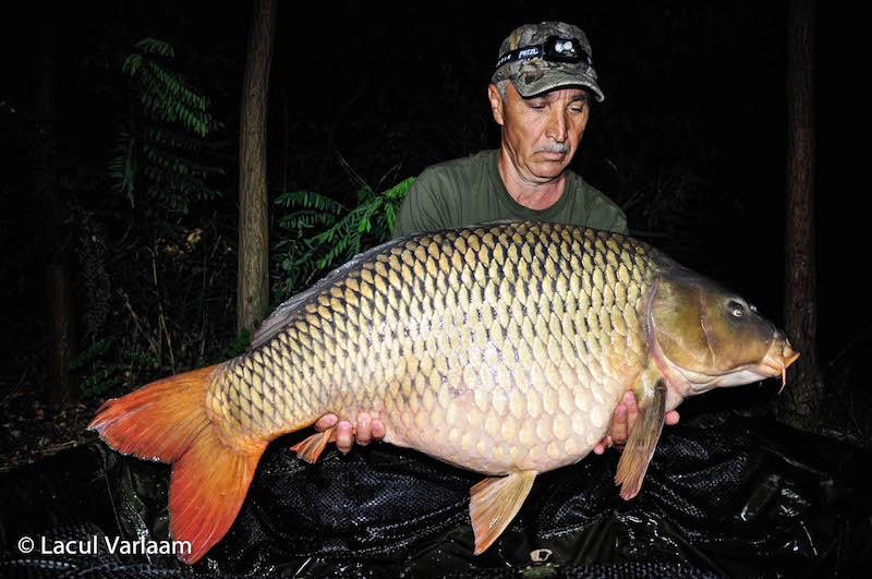 Tibi Lazar - 21,5kg, stand B8.jpg