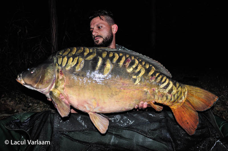 Ionut Tudosie - 19,6kg, stand B16.jpg