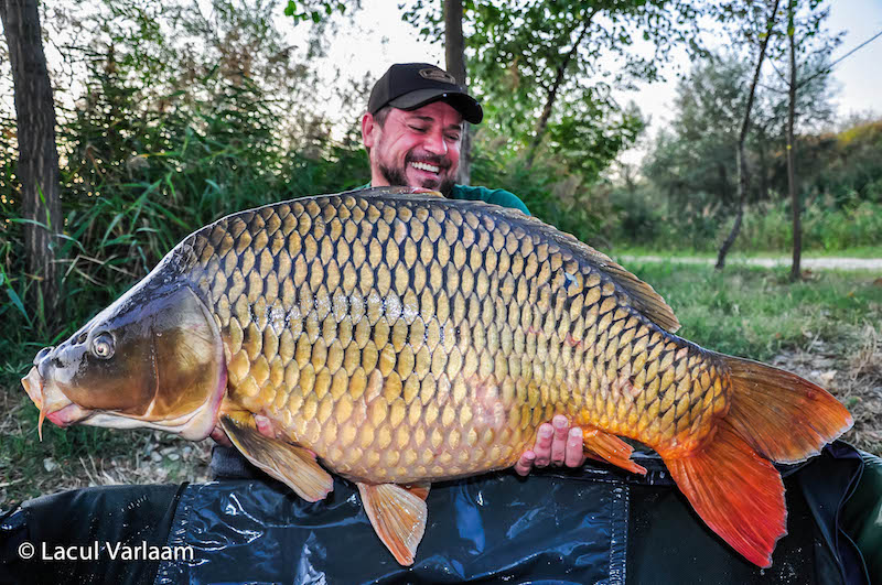 Liviu Tudosie - 26kg, stand B16.jpg