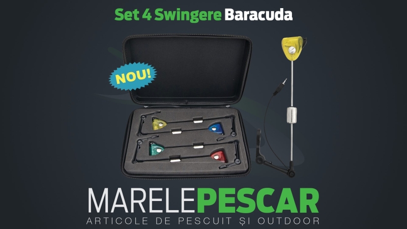 SET 4 SWINGERE BARACUDA.jpg